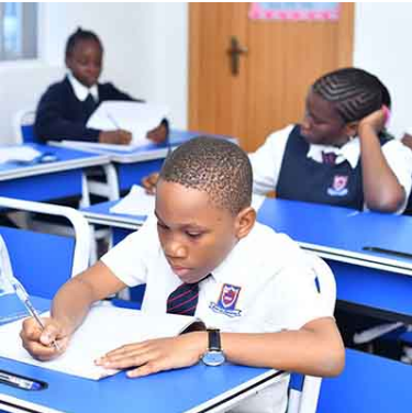 Montessori School - The Cradle School